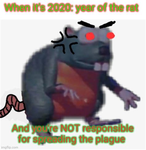 Angry Rat Problems Imgflip