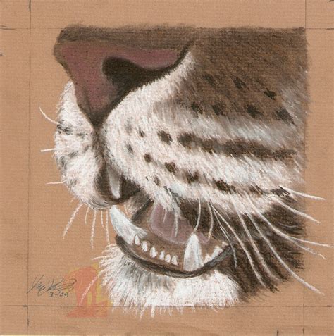 Tiger Nose WIP by TheFireTigress on DeviantArt