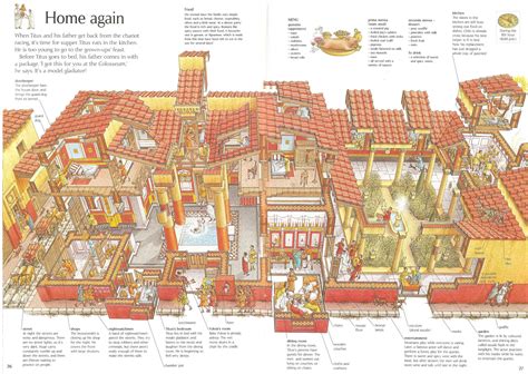 Domus Cross Section Rome Stephen Biesty Oxford University Press