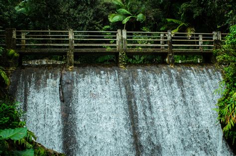 Comprehensive Guide To Visiting El Yunque National Forest In Puerto