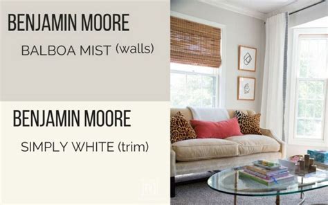 Benjamin Moore Balboa Mist Reviews In Real Homes