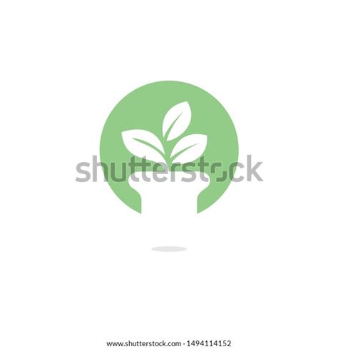 Flower Pot Plant Logo Growth Vector Stock Vector Royalty Free