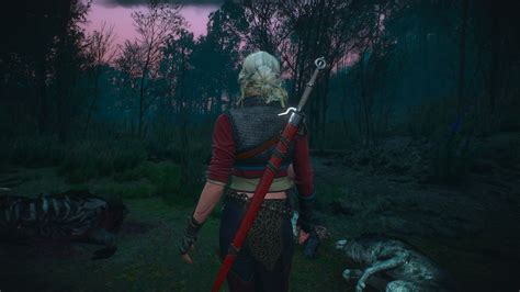 Photorealistic Mod 2020 For Witcher 3 At The Witcher 3 Nexus Mods And Community