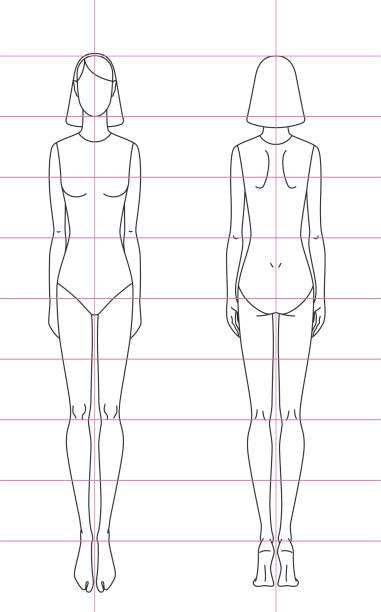 Human Body Outline Front And Back Drawing Illustrations Royalty Free