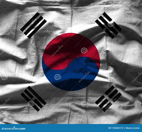 Bandeira Da Coreia Do Sul Textura Em Fundo Ilustração Stock