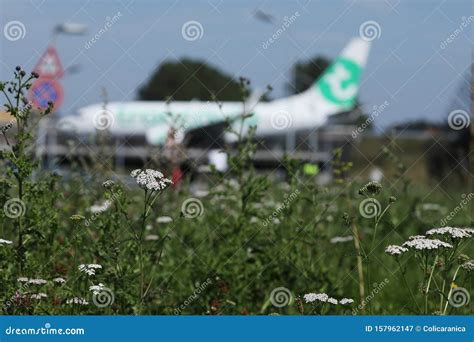 Transavia Plane Taking Off From Vienna Airport Vie Editorial Image