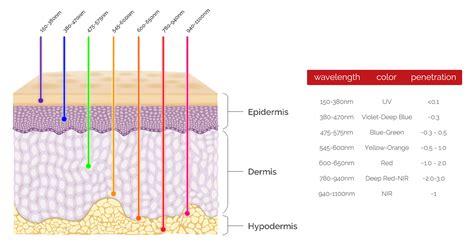 What Is Color Light Therapy Health Mate Sauna