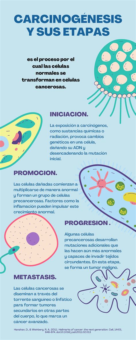 Para qué sirven las células CARCINOGÉNESIS Y SUS ETAPAS INICIACION