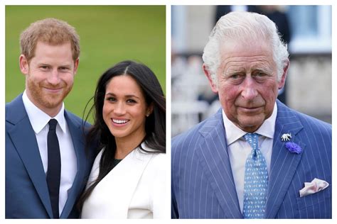 Meghan Markle And Prince Harry Criticize Prince Charles With Own Olive