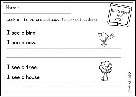 Practice Writing Sentences Worksheets