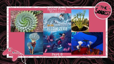 Spiral Plant Clippings Subnautica Below Zero Part 8 YouTube