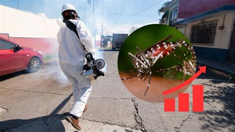 Dengue en Veracruz Más de 900 nuevos contagios en una semana La