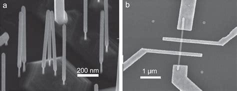 A A SEM Image Of As Grown GaSb InAs Core Shell Nanowires B A SEM