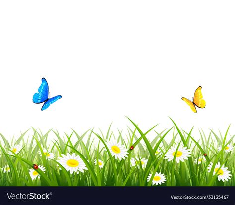 Butterflies flying over grass and flowers Vector Image