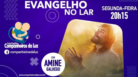 Evangelho no Lar 56 Amine Galhego O egoísmo é a fonte de todos