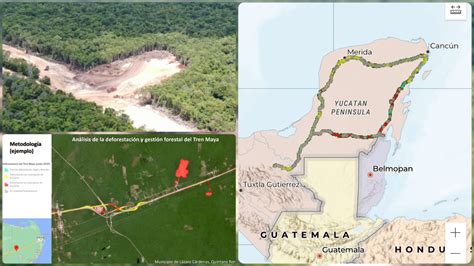 Deforestación en ruta del Tren Maya tramo Izamal Cancún LectorMx