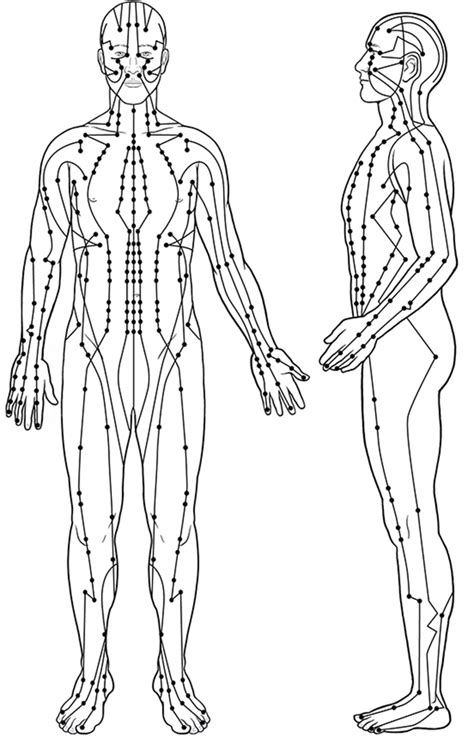 Meridians And Acupuncture Points