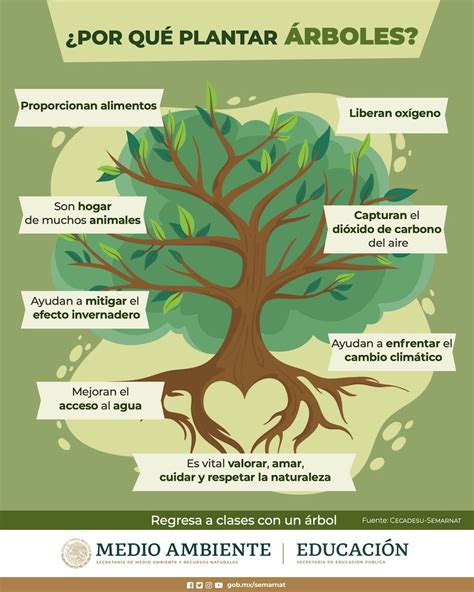 Infografia Medio Ambiente X Agua Org Mx Hot Sex Picture