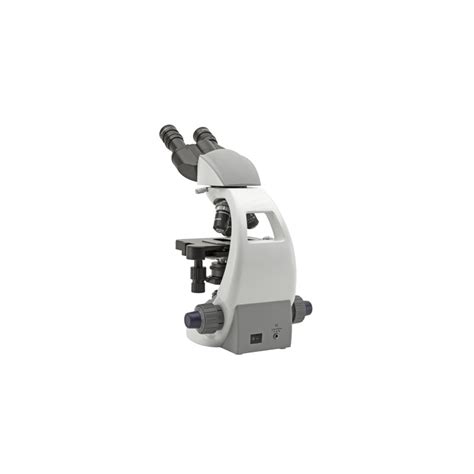 Microscopio 1000X Microscopio Didactico Euro Microscopes