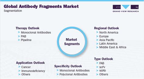 Antibody Fragments Market Size Worth 1136 Billion By 2030