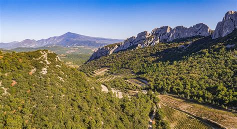 Les Dentelles De Montmirail