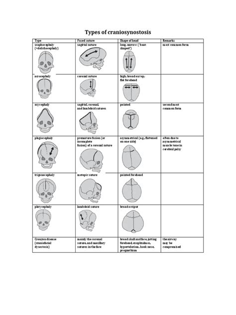 Types of Craniosynostosis | PDF | Animal Diseases | Musculoskeletal Disorders