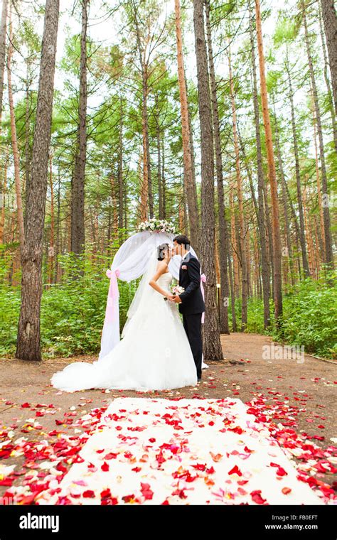 Bride And Groom Kissing Near The Wedding Arch Stock Photo Alamy