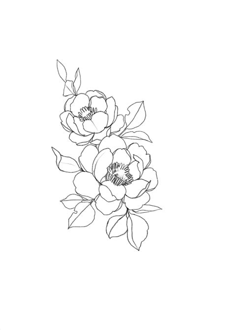 Minimalist Flowers Drawing Wallpapers Wallpaper Cave