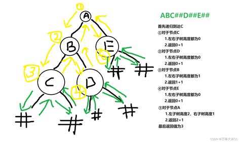 971 统计利用先序遍历创建的二叉树的深度 Csdn博客