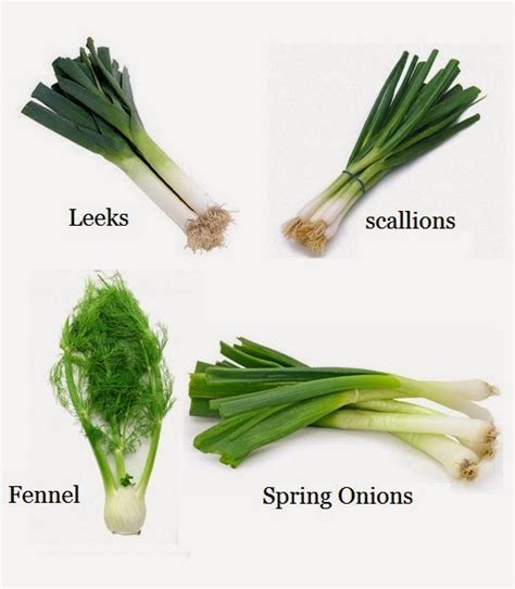 How To Re Grow Leeks Scallions Spring Onions And Fennel From Kitchen