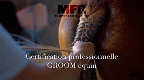 Groom équin certification professionnelle à la MFR de BOURNEZEAU