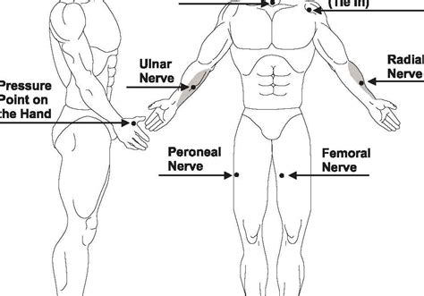 Pressure Point Diagram Of The Human Body