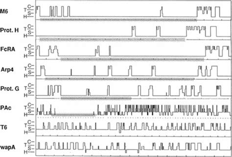 Surface Proteins On Gram Positive Bacteria Microbiology Spectrum