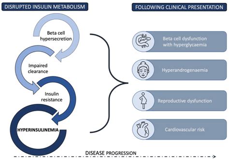 Ijms Free Full Text Insulin Metabolism In Polycystic Ovary Syndrome