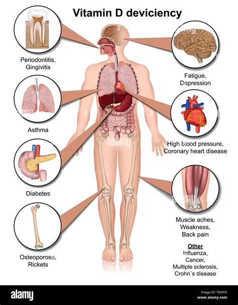 Blood Calcium Levels And Growth Biology For Majors Ii