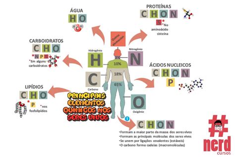 Elementos químicos nos seres vivos