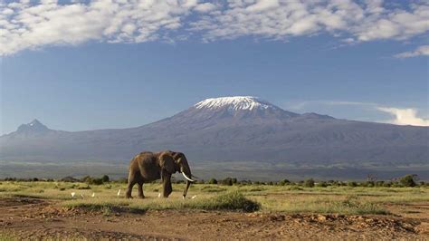 Kilimanjaro National Park – Tanzania Tours and Travel