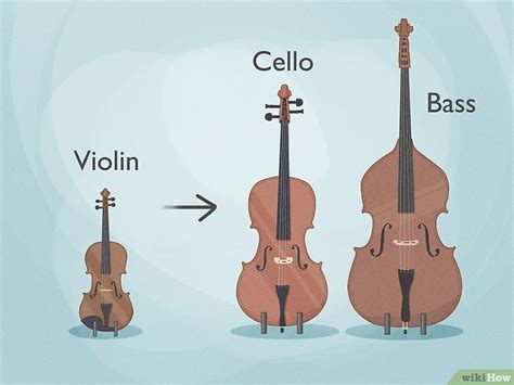 Cello Vs Bass Differences Similarities And Interesting Facts