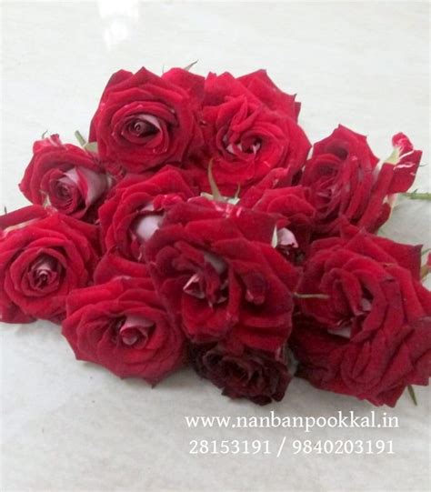 fa fresh flowers button rose red nanban pookkal biggest fresh