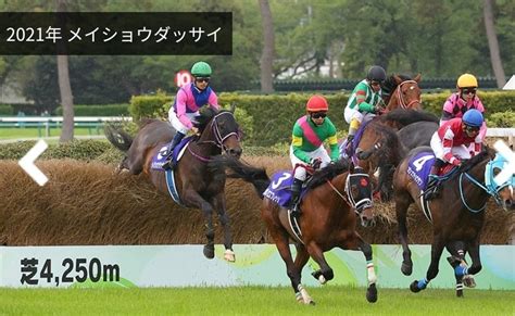 Jg1中山グランドジャンプ🐎中山競馬場🏇before📝三連複🎯 ｜ボヘミアン⚾カープatelier Capricorn🐎｜note