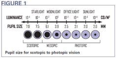 Pupil size chart for drugs - dkgast