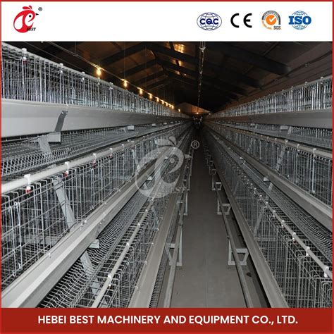 Bestchickencage Ordinary Type Layer Cage China Large Portable Chicken