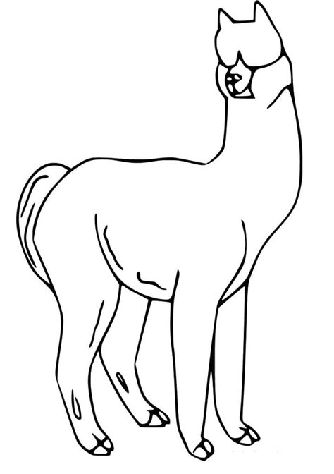 Dibujos De Alpaca Para Ni Os Para Colorear Para Colorear Pintar E