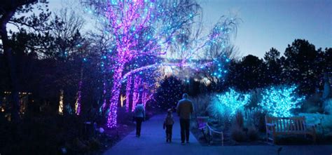 Winter Wonderland Lights Throughout the United States | Insider Families