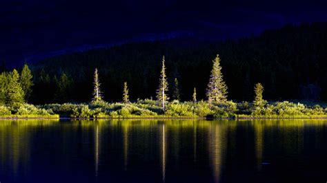 Forest Trees Corinthia Water Ripples Lake Nature Greece