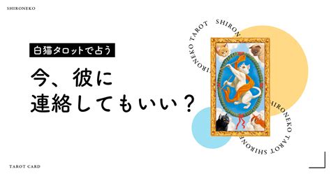 今、片想いの彼に連絡してもいい？白猫タロット鑑定 Cocoloni占い館 Sun