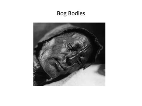 PPT - Bog Bodies PowerPoint Presentation, free download - ID:3816822