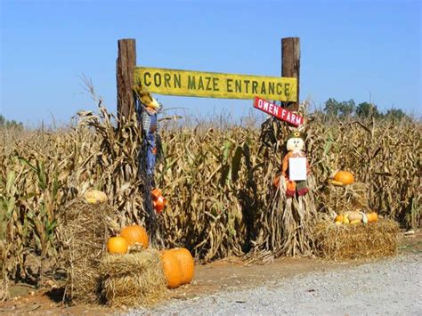 12 best images about Pumpkin patch and corn maze activities on ...