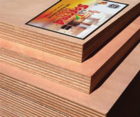 Spectra Gold MR Grade ISI IS 303 Commercial Plywood Moisture Resistant