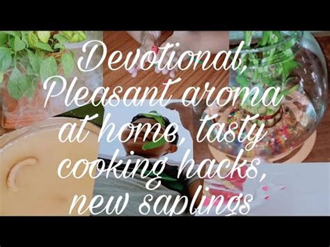 Vlog8 Maintain Pleasant Aroma At Home Tasty Cooking Hacks New Saplings